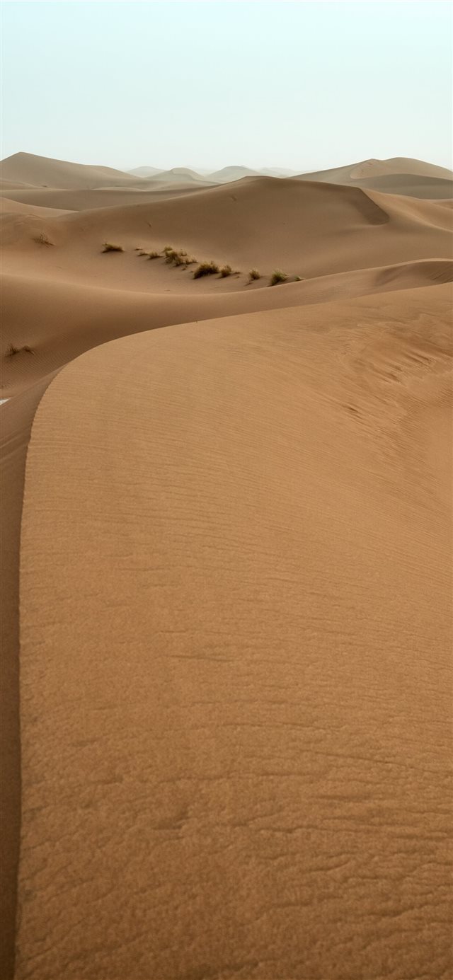 1125x2436 view of desert - green iPhone X Wallpaper