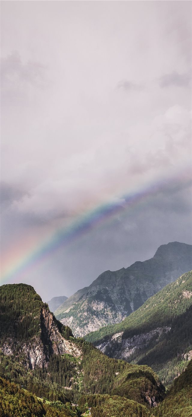 1125x2436 green trees - rainbow iPhone X Wallpaper