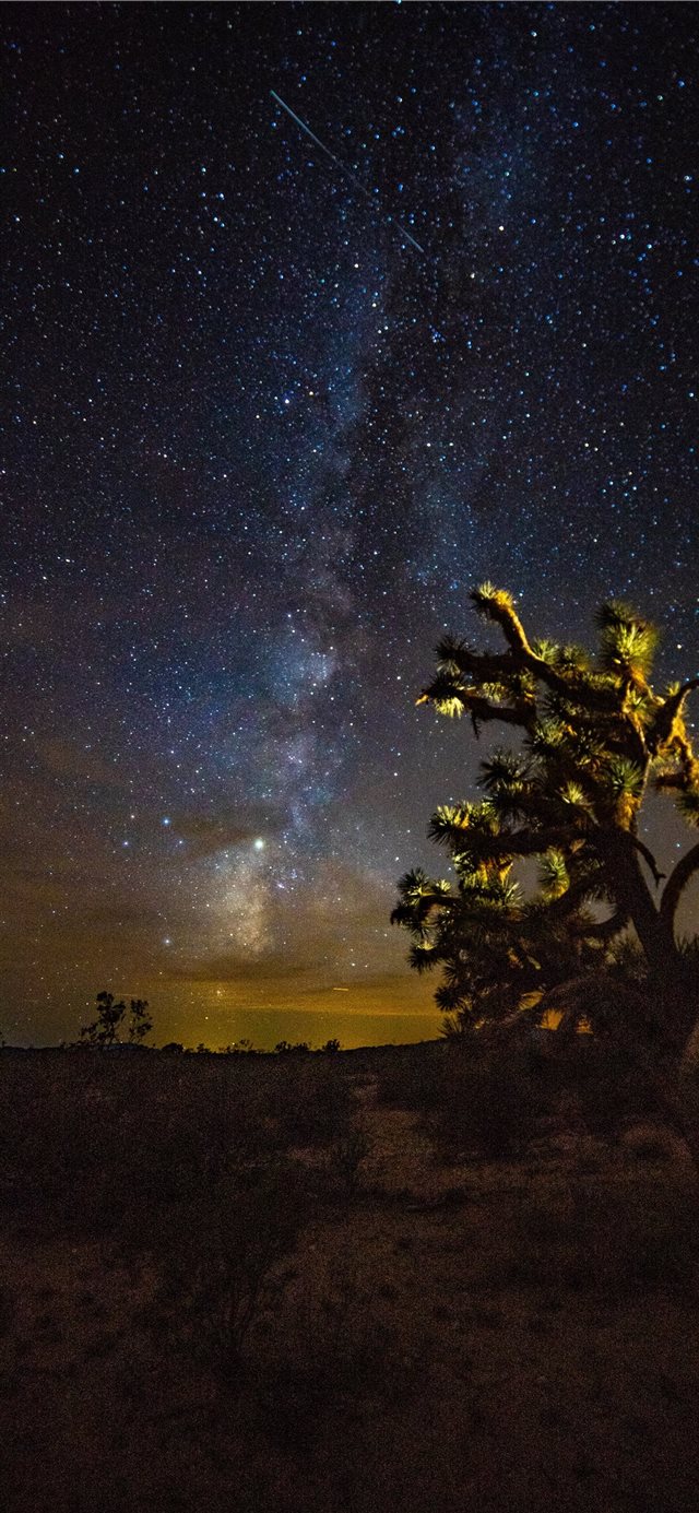 1125x2436 green tree under blue sky - space iPhone X Wallpaper