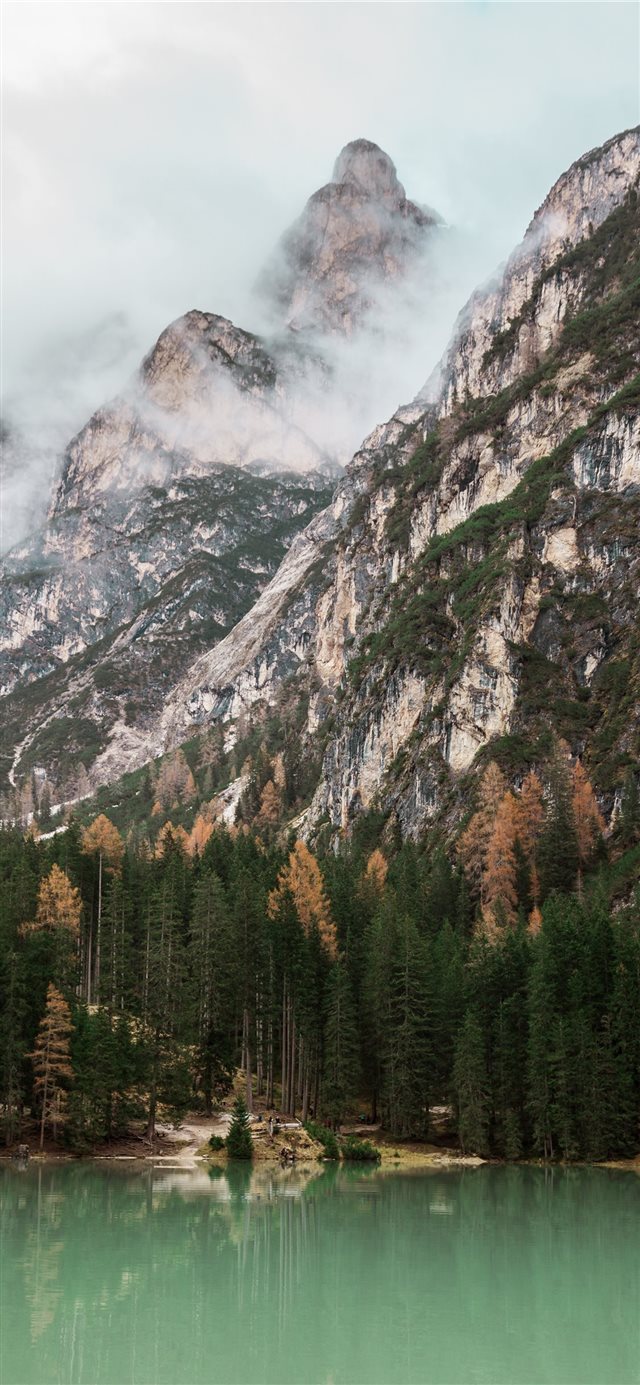 1125x2436 green trees near lake at daytime - italy iPhone X Wallpaper