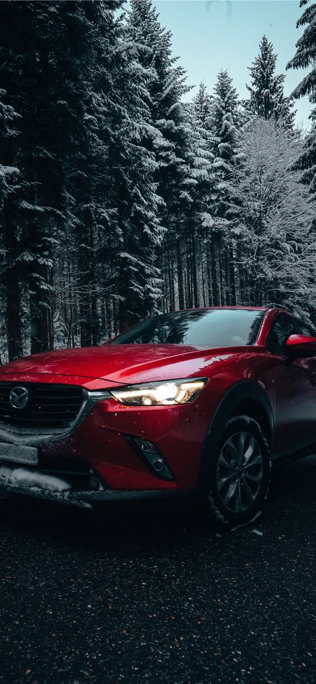 1125x2436 red vehicle near pine trees during daytime - winter iPhone X Wallpaper