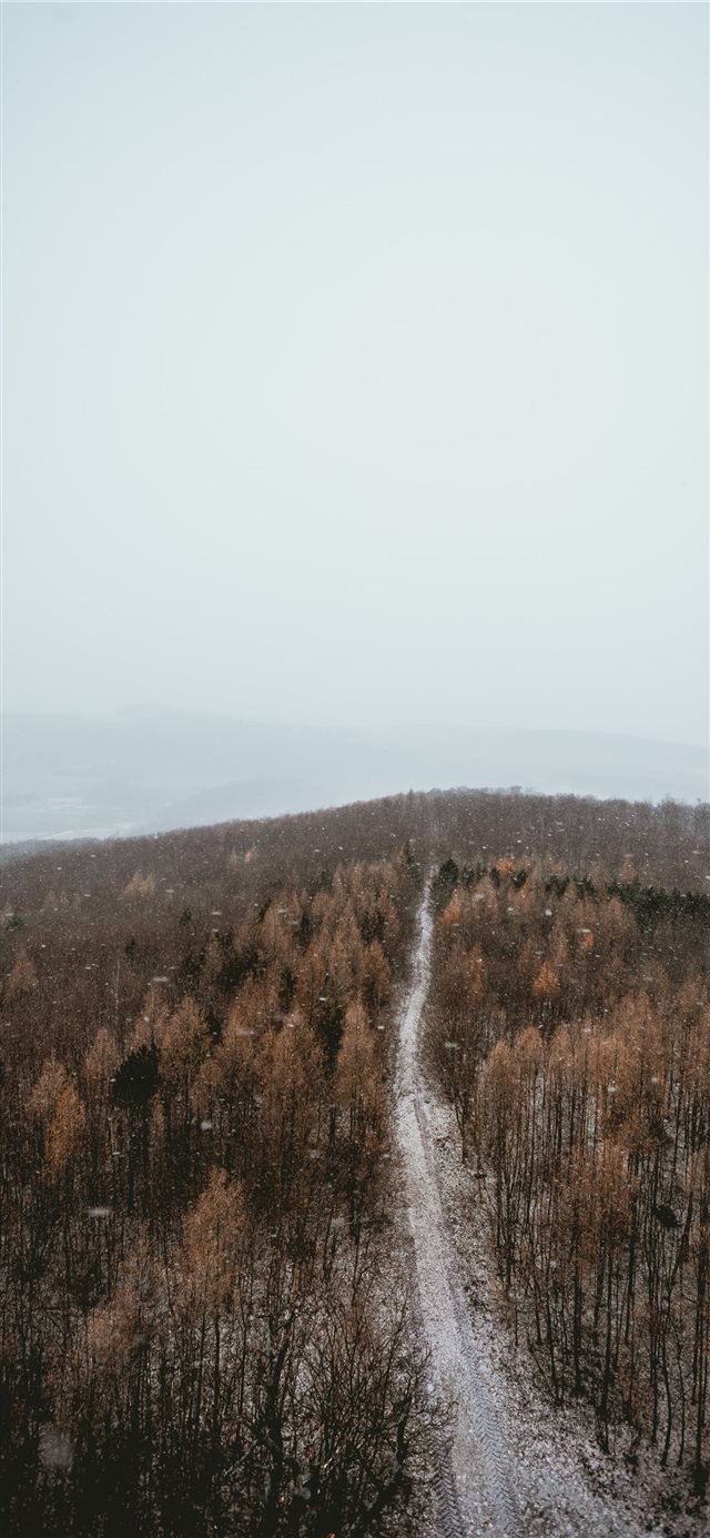 1125x2436 view of the trees in winter - scenery iPhone X Wallpaper