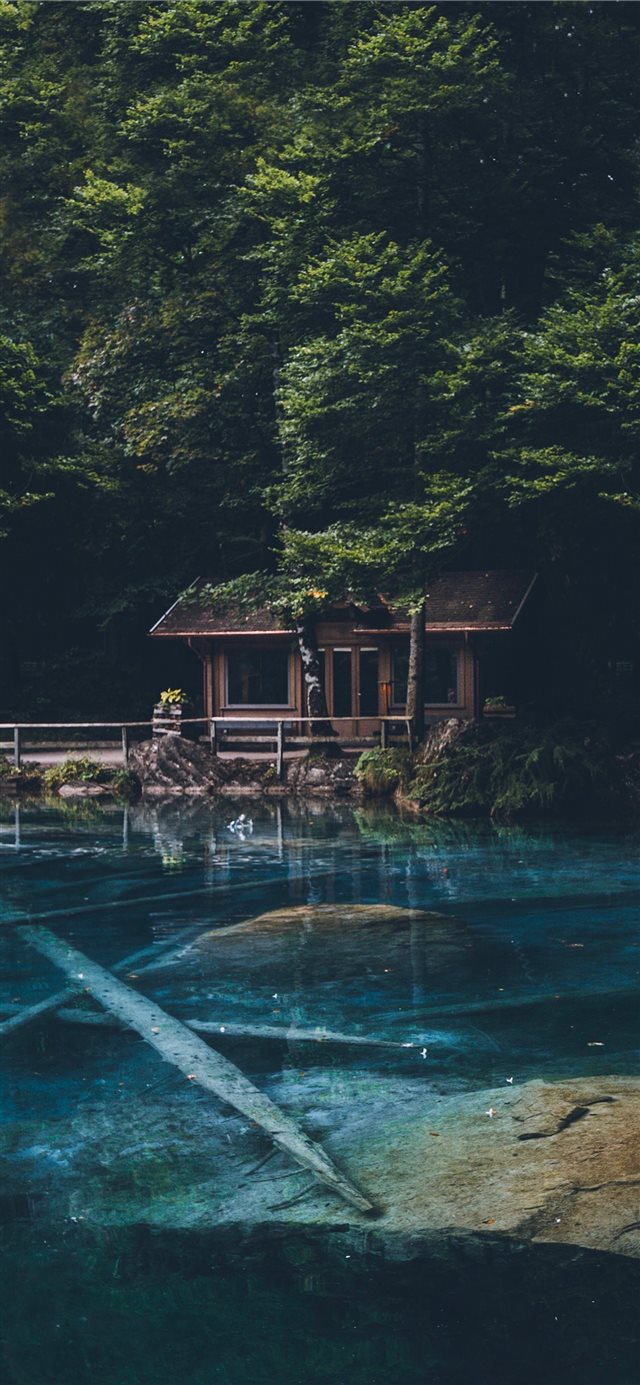 1125x2436 brown wooden house behind green tree - tree iPhone X Wallpaper