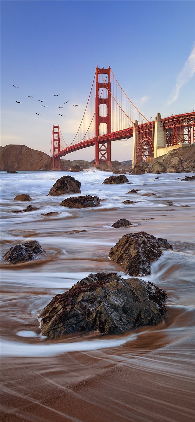 1125x2436 timelapse photography of body of water - bird iPhone X Wallpaper