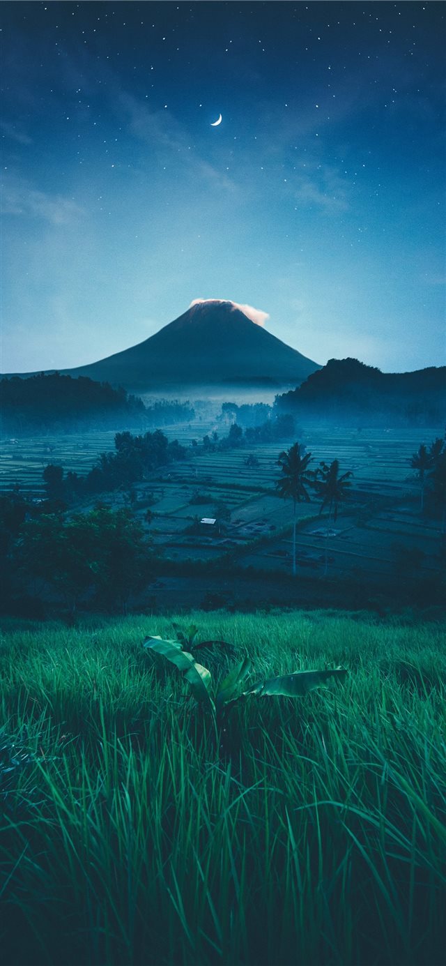 1125x2436 mountain near green trees at night - landscape iPhone X Wallpaper