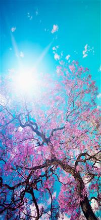 50 Best amp Backgrounds wallpaper