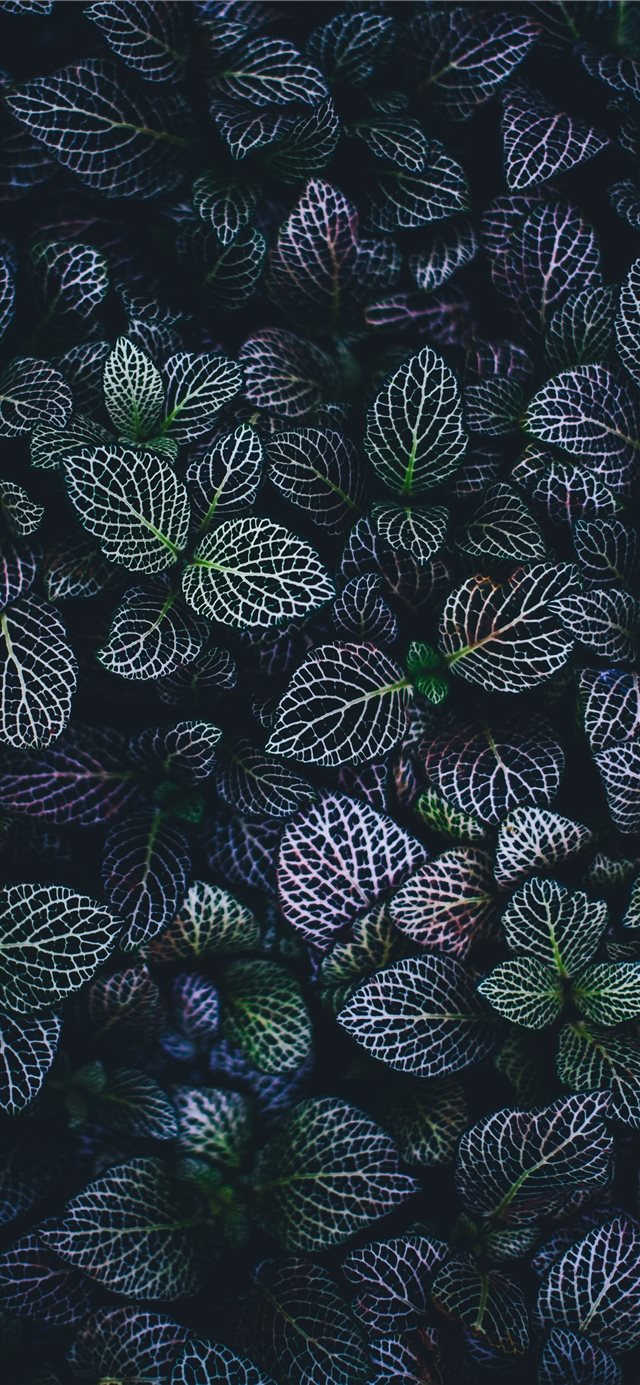 1125x2436 green and blue leaves plants - pattern iPhone X Wallpaper