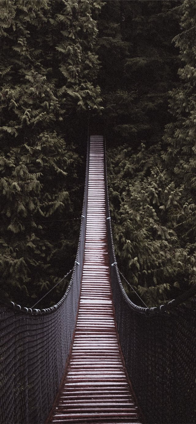 1125x2436 brown and black bridge between trees - grey iPhone X Wallpaper