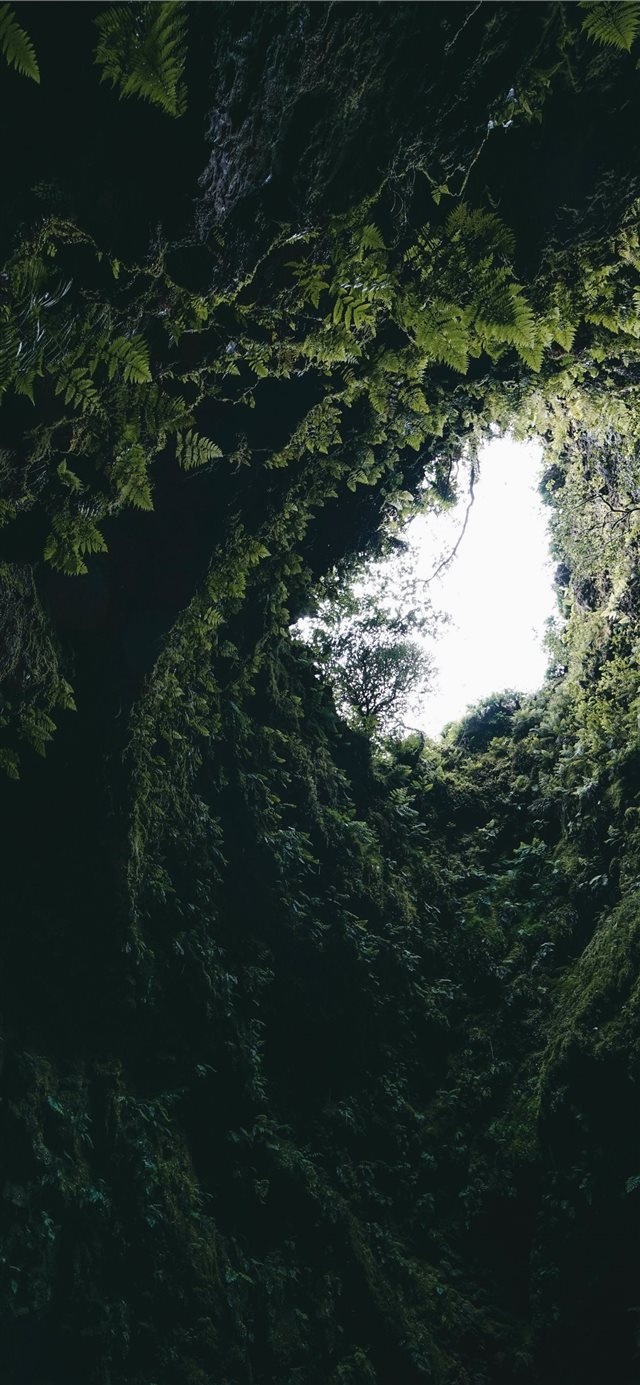 1125x2436 Inside old volcano in Terceira island Azores - green iPhone X Wallpaper