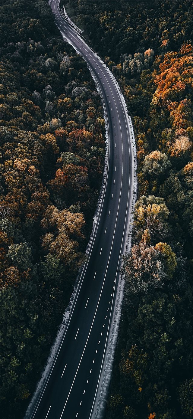 1125x2436 aerial photography of road between trees - landscape iPhone X Wallpaper