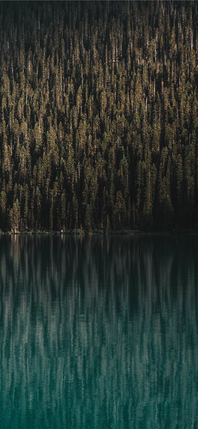 1125x2436 Equilibrium - scenery iPhone X Wallpaper