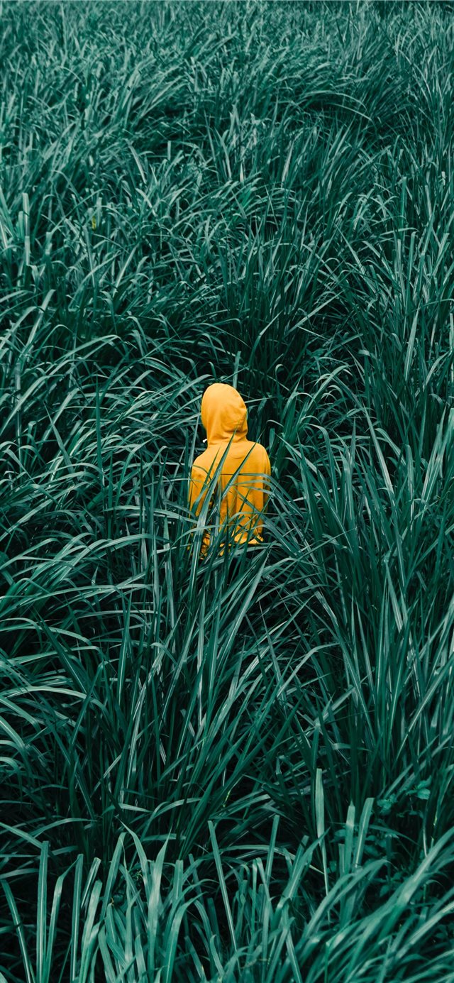 1125x2436 person wearing orange hooded jacket in in green gr... - indonesia iPhone X Wallpaper