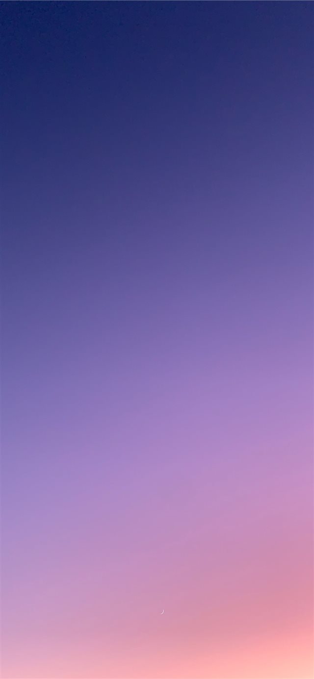 1125x2436 Nature's Gradient Unfiltered sunset in San Francis... - tree iPhone X Wallpaper