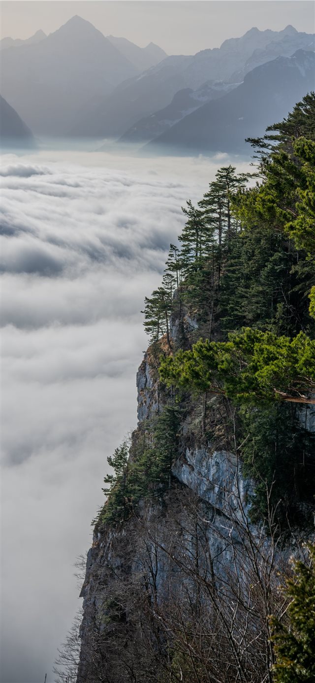 1125x2436 green trees on mountain under white clouds and blu... - tree iPhone X Wallpaper
