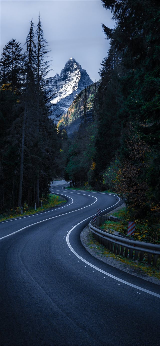 1125x2436 gray concrete pave street in between of trees - grey iPhone X Wallpaper