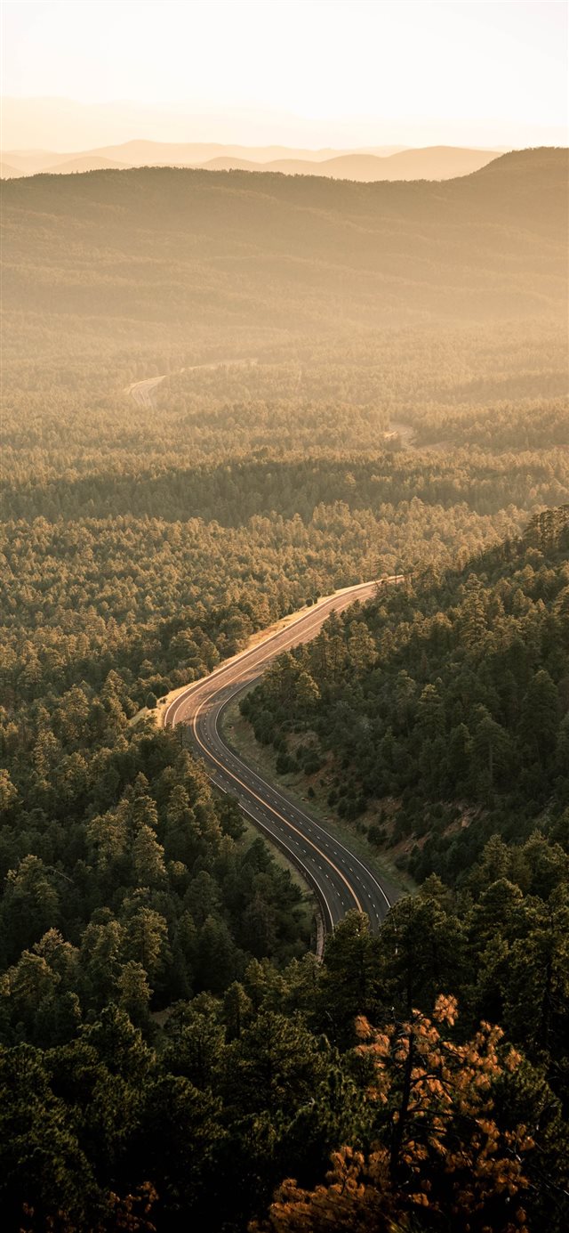 1125x2436 aerial view of green trees during daytime - scenery iPhone X Wallpaper