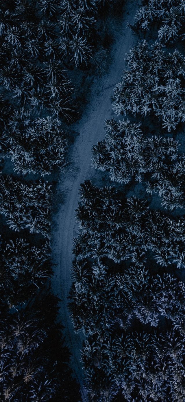 1125x2436 aerial photography of road between trees - snow iPhone X Wallpaper
