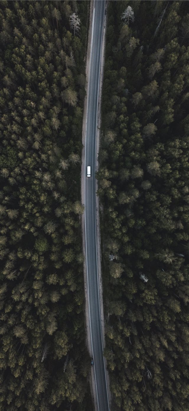 1125x2436 aerial photography of white vehicle on street - grey iPhone X Wallpaper