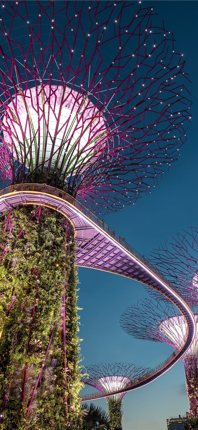 1125x2436 purple tree light Singapore landmark - aesthetic iPhone X Wallpaper