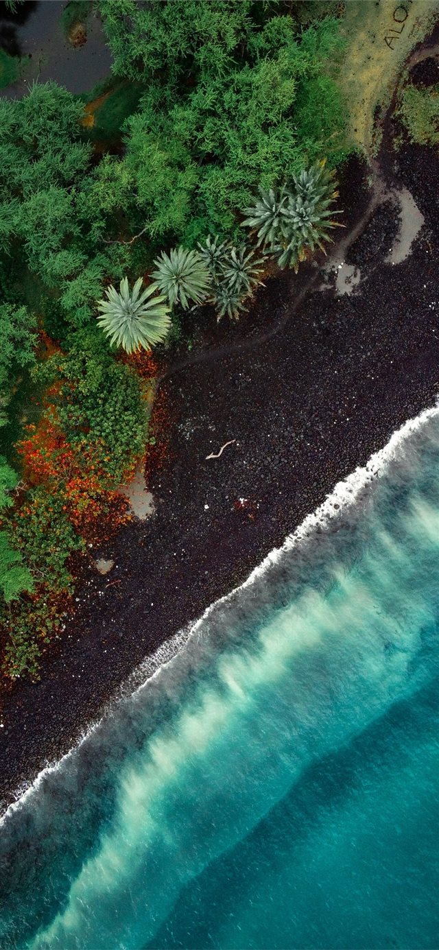 1125x2436 aerial view of green trees beside body of water du... - scenery iPhone X Wallpaper