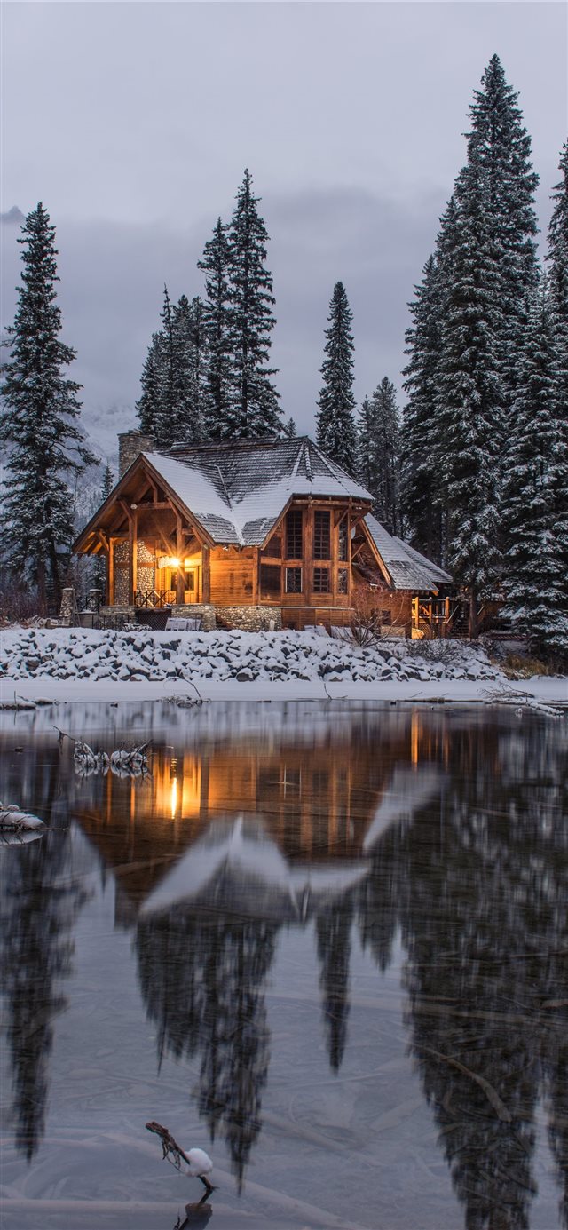 1125x2436 wooden house near pine trees and pond coated with ... - snow iPhone X Wallpaper