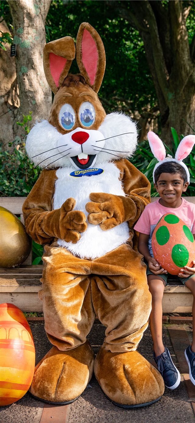 1125x2436 Beacon Eggsplorer Chocolatey smiles and good vibes... -  iPhone X Wallpaper