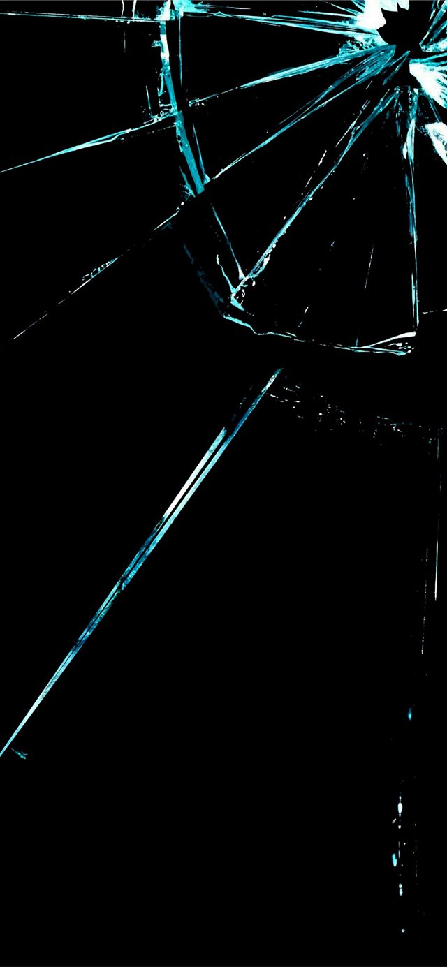 1125x2436 Samsung S10 Broken Screen Ecopetit cat -  iPhone X Wallpaper