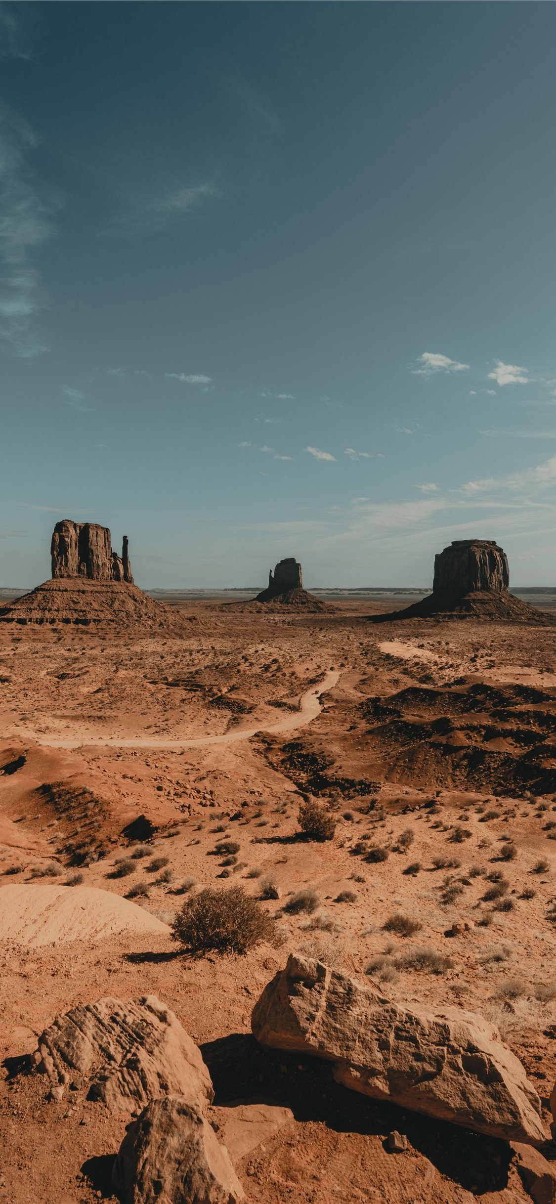 150100 Arizona Desert Stock Photos Pictures  RoyaltyFree Images   iStock  Arizona desert landscape Arizona desert road Arizona desert  sunset