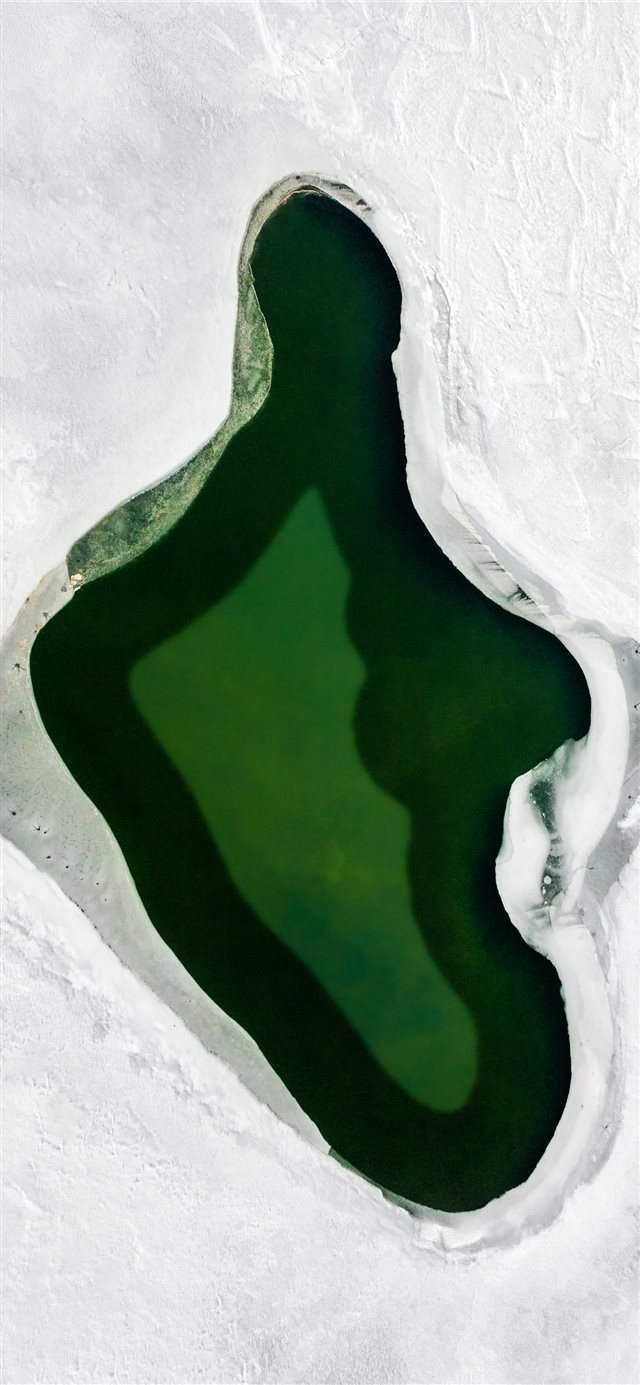 1125x2436 green and white heart shaped illustration - winter iPhone X Wallpaper