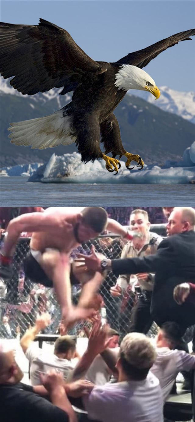 1125x2436 Khabib 'The Eagle' Nurmagomedov - sport celebrity iPhone X Wallpaper