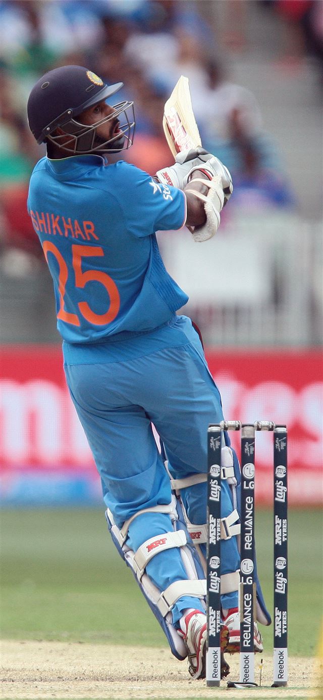 1125x2436 As it happened India vs South Africa World Cup 201... - india iPhone X Wallpaper