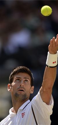 Novak Djokovic Wimbledon Cave wallpaper
