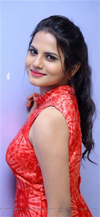 Priyanka Sharma at Sarovaram Audio Release Image 1 wallpaper