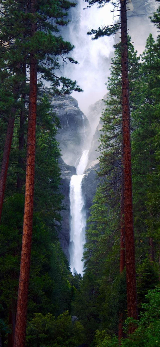 1125x2436 green and brown trees with water falls - california iPhone X Wallpaper