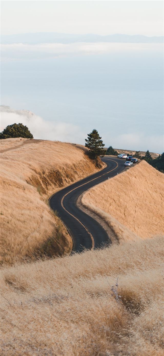 1125x2436 brown grass field - mountains iPhone X Wallpaper