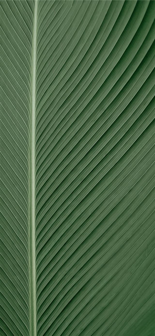 1125x2436 green and white striped textile - green iPhone X Wallpaper