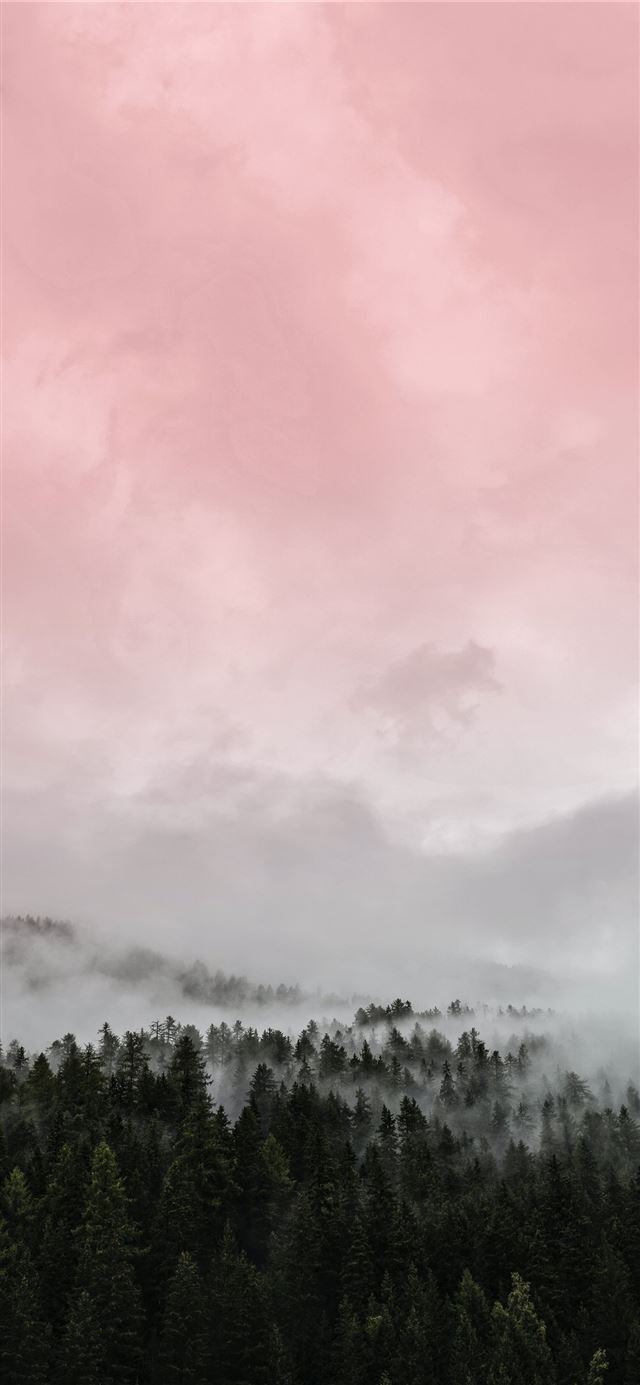 1125x2436 green trees under white clouds during daytime - tree iPhone X Wallpaper