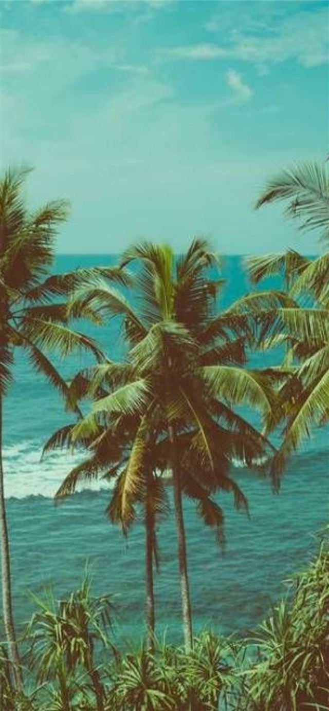 1125x2436 Pin oleh DarmaALI di Fotografi di 2020 - oahu hawaii iPhone X Wallpaper