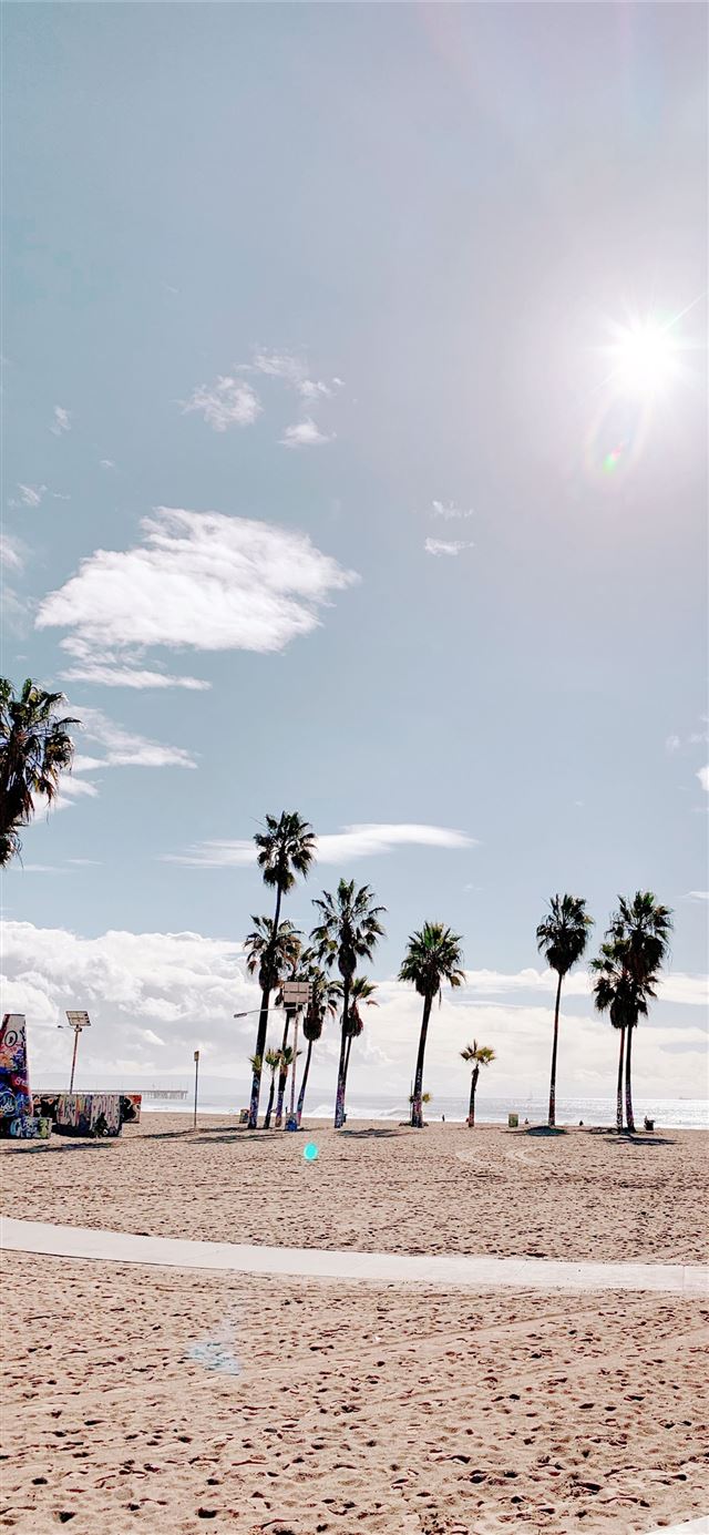 1125x2436 Palm Trees in Venice Beach Los Angeles palmtrees v... - oahu hawaii iPhone X Wallpaper