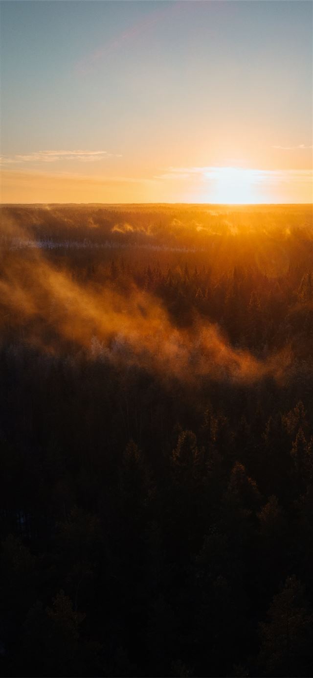 1125x2436 aerial view of trees during sunrise - light iPhone X Wallpaper