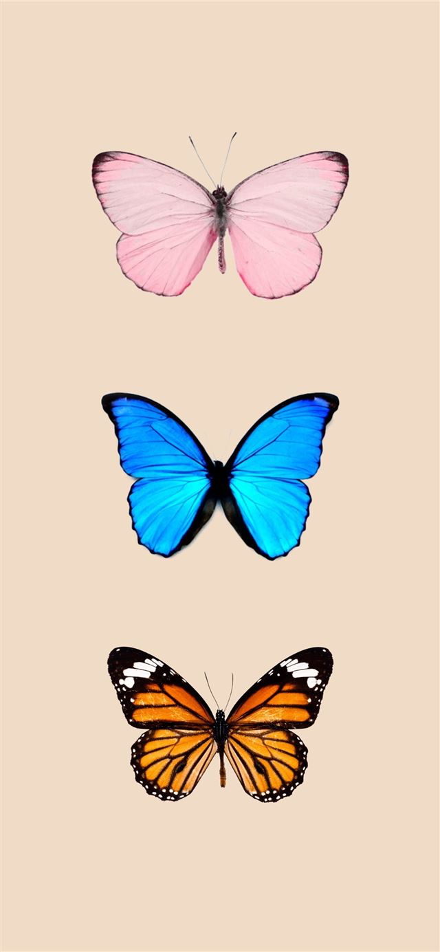 1125x2436 Butterfly background iPhone -  iPhone X Wallpaper