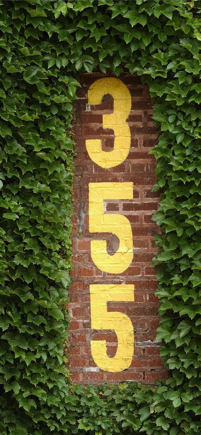 1125x2436 Wrigley Field HD - trends iPhone X Wallpaper