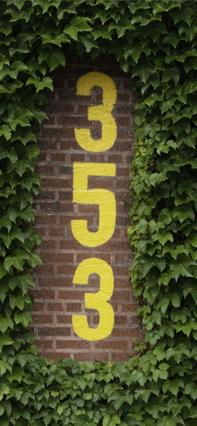 1125x2436 The Wrigley Field Ivy - trends iPhone X Wallpaper