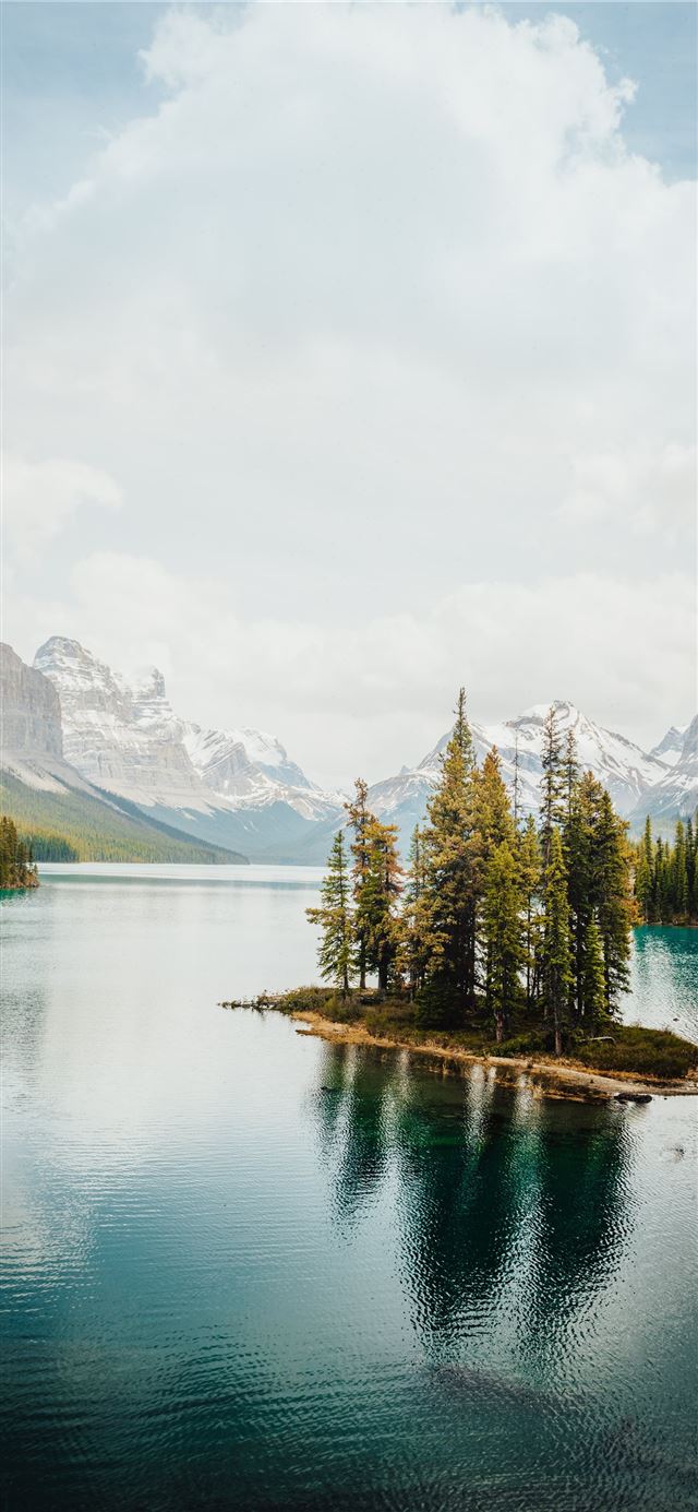 1125x2436 green pine trees near lake and mountains during da... - tree iPhone X Wallpaper