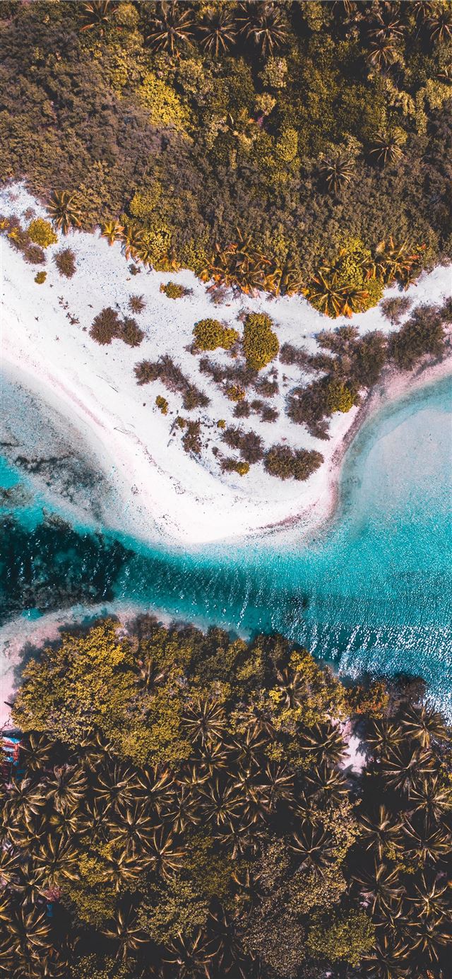 1125x2436 aerial view of green trees and blue sea during day... - scenery iPhone X Wallpaper