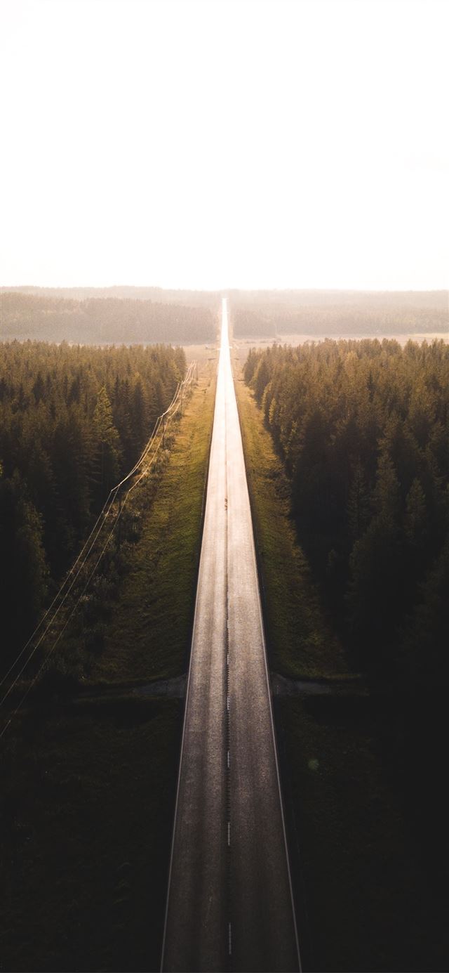 1125x2436 black road surrounded by trees - sun iPhone X Wallpaper