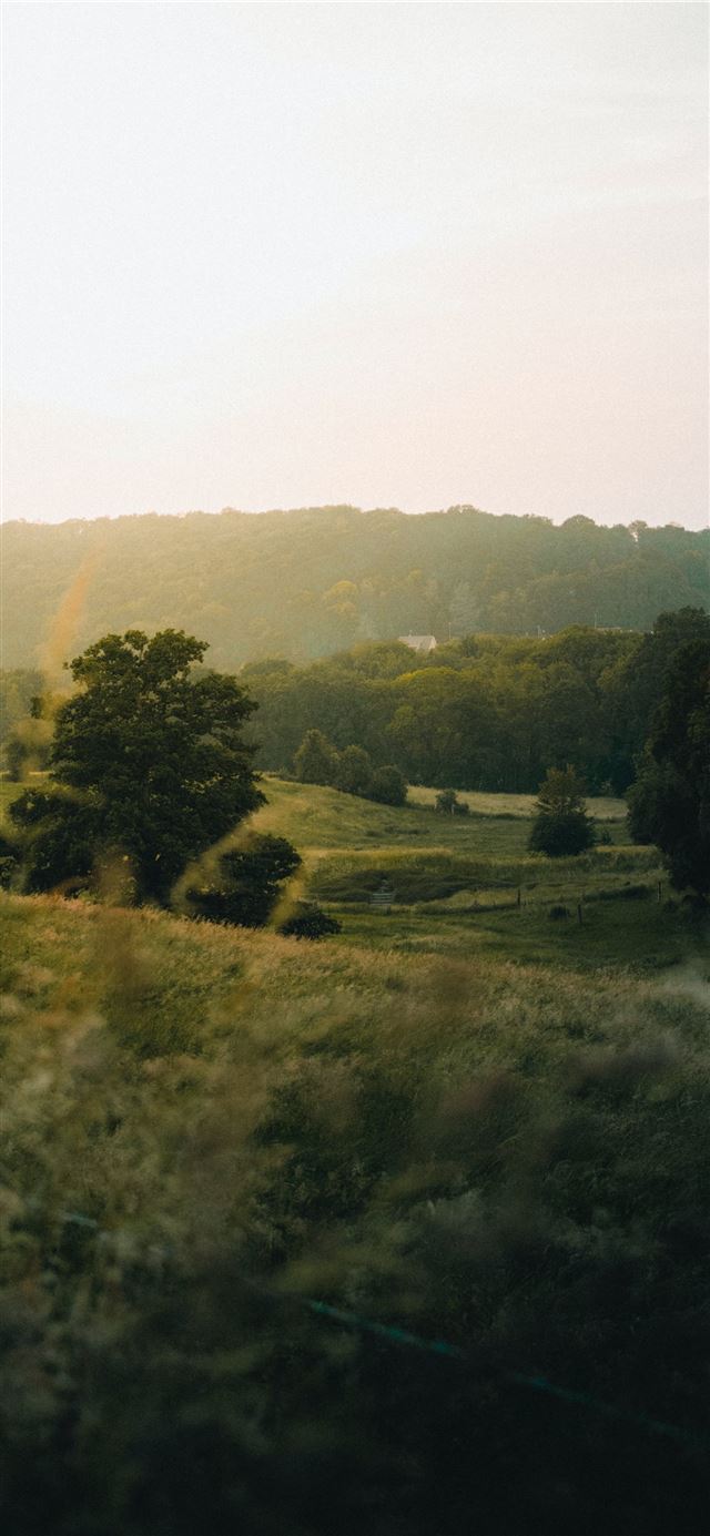 1125x2436 aerial photo of green field during daytime - france iPhone X Wallpaper