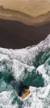 black and white floral textile wallpaper