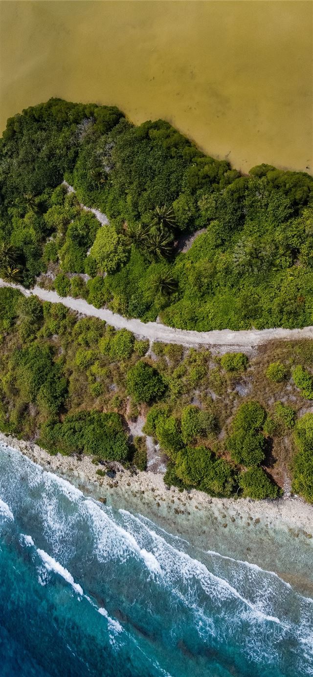 1125x2436 aerial view of green trees beside body of water du... - water iPhone X Wallpaper
