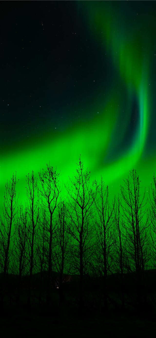 1125x2436 purple and green light in dark room - green iPhone X Wallpaper